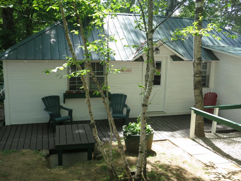 Birch Cliff Lodge On Baptiste Lake Highland Grove Kamer foto